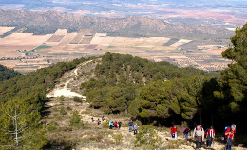 El PSOE solicita a Medio Ambiente que Sierra de Salinas sea declarado Parque Natural