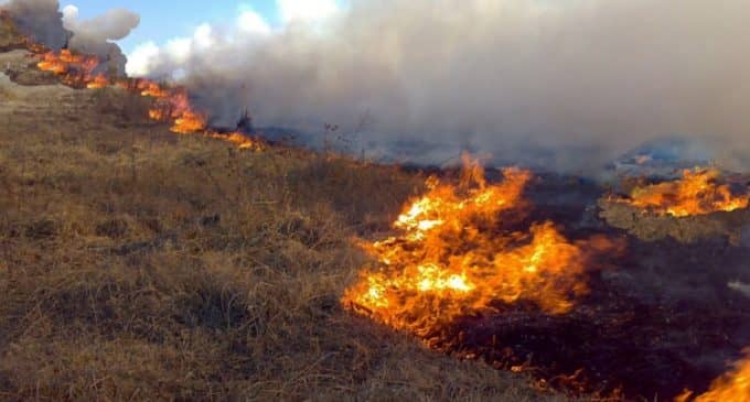 Medio Ambiente abre el periodo de solicitud de permisos de quema de restos vegetales