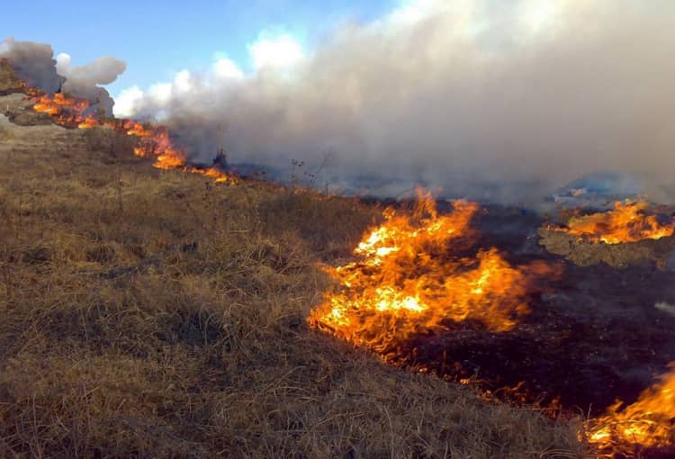 Medio Ambiente abre el periodo de solicitud de permisos de quema de restos vegetales