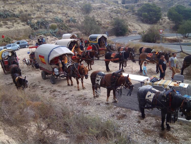 El Ayuntamiento de Ibi niega agua a los caballos y mulas de la vuelta en carro de la provincia de Alicante