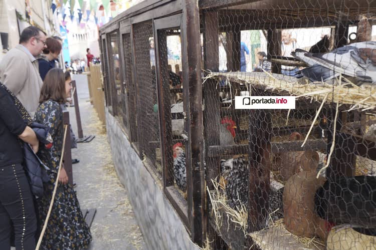 El alcalde confía en mejorar la presencia de animales en las Fiestas del Medievo