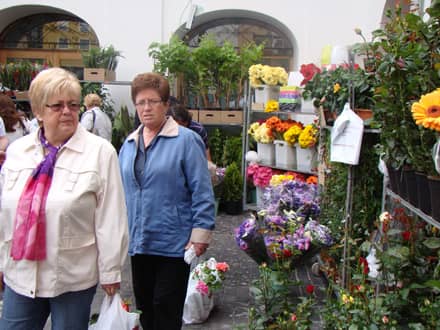 El Mercado de las Flores se traslada a la plaza de Santiago