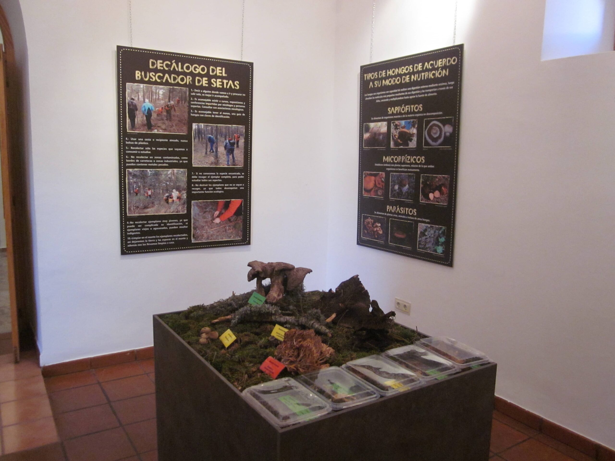 La Casa de la Cultura acoge la “Exposición Micológica” organizada por la Sede Universitaria