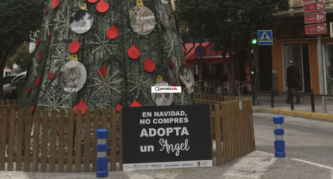 El Ayuntamiento rectifica el lema del árbol de Navidad