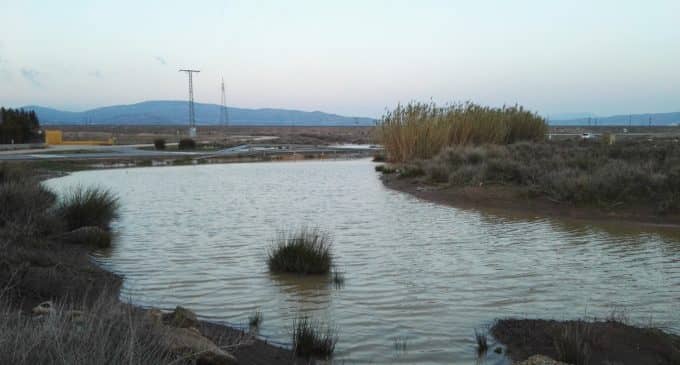 Los Verdes derivan el incremento de acumulación de aguas en la carretera de Caudete  a las obras del AVE