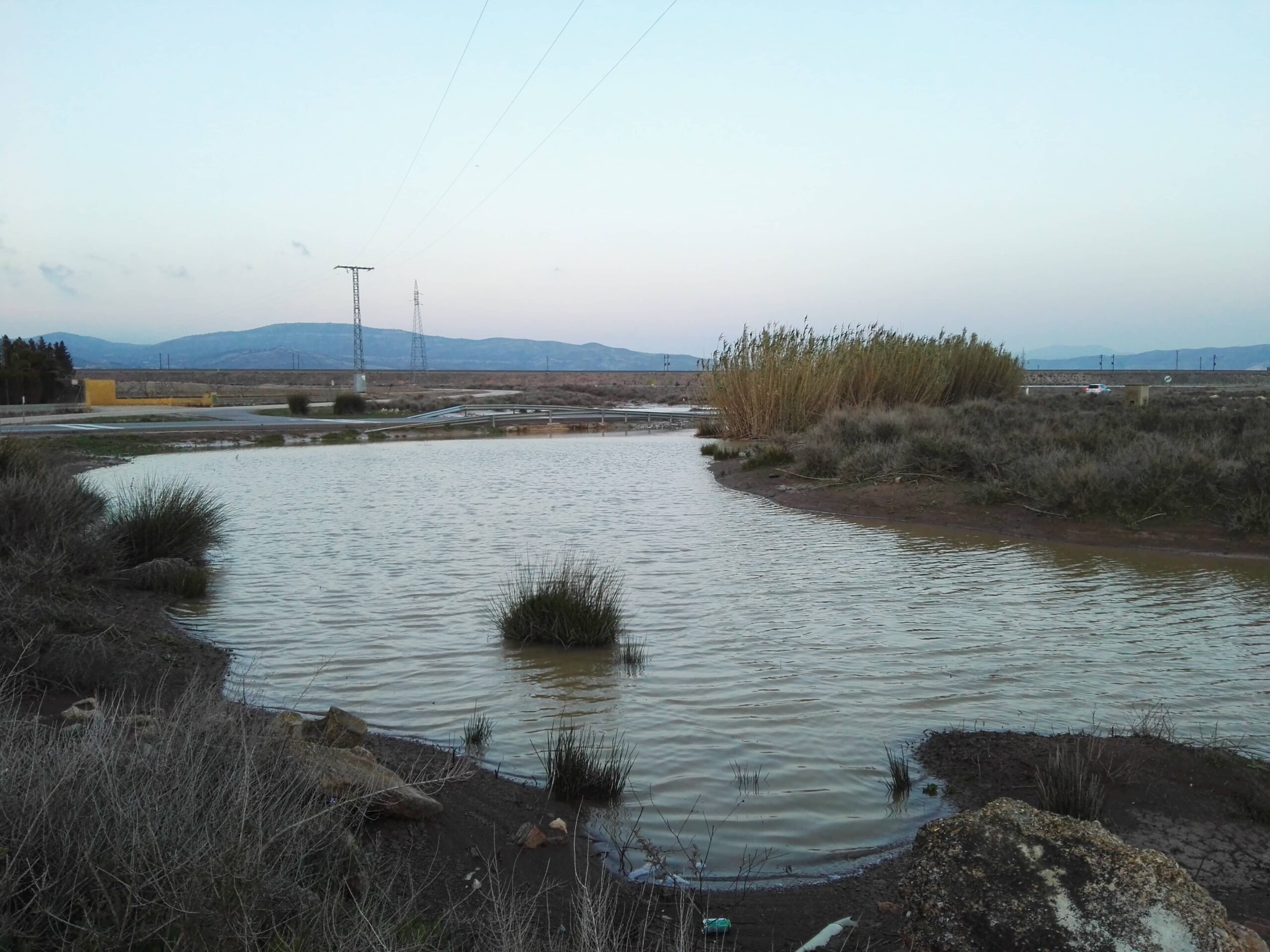 Los Verdes derivan el incremento de acumulación de aguas en la carretera de Caudete  a las obras del AVE