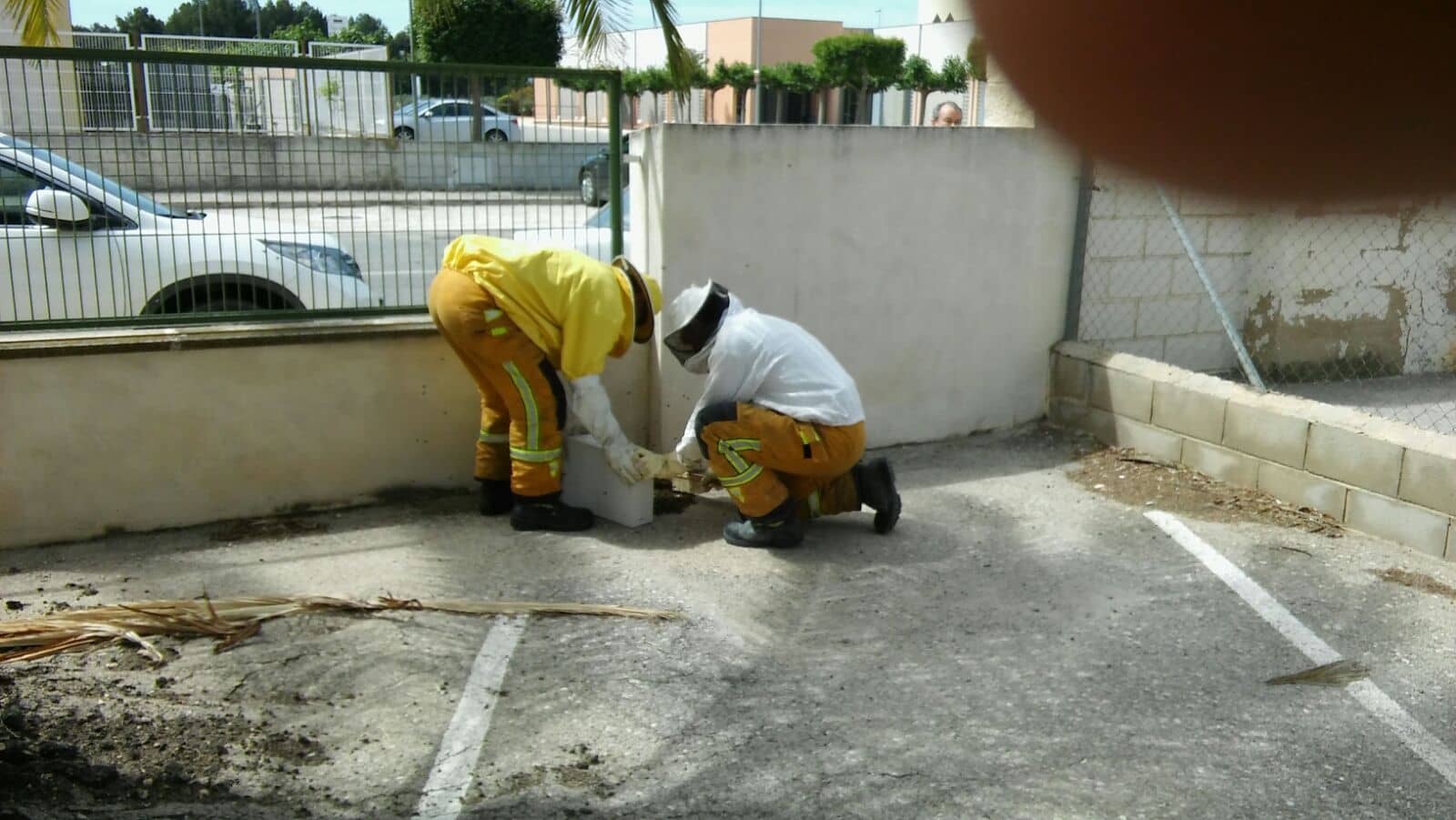 Los bomberos retiran un nuevo enjambre de abejas y retiran el aceite de la calzada tras una colisión