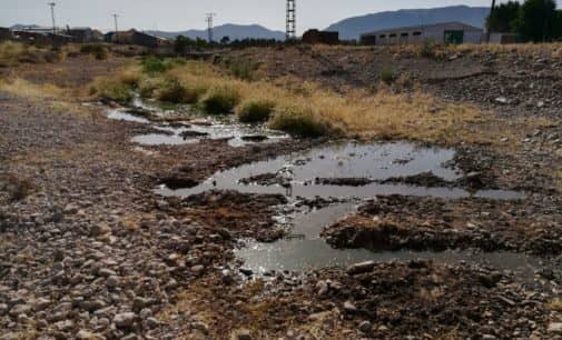 El Ayuntamiento denunciará ante el Seprona los vertidos continuos de aceite al rio Vinalopó
