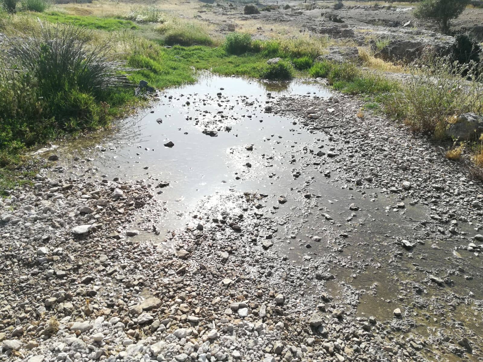 El PSOE denuncia un vertido de aceite al rio en la zona de la Solana