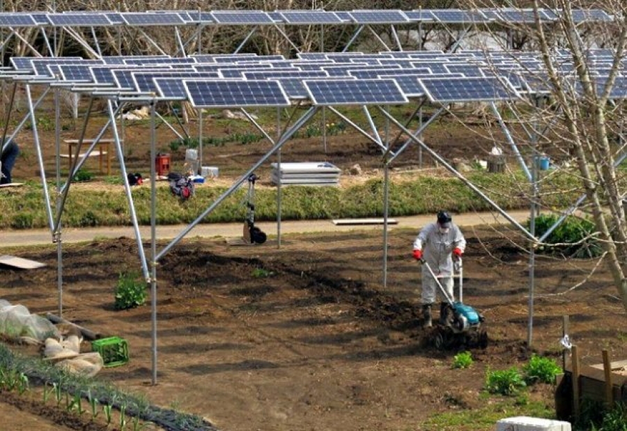 Villena y la SEAE organizan esta semana el taller sobre energía fotovoltaica y agricultura ecológica
