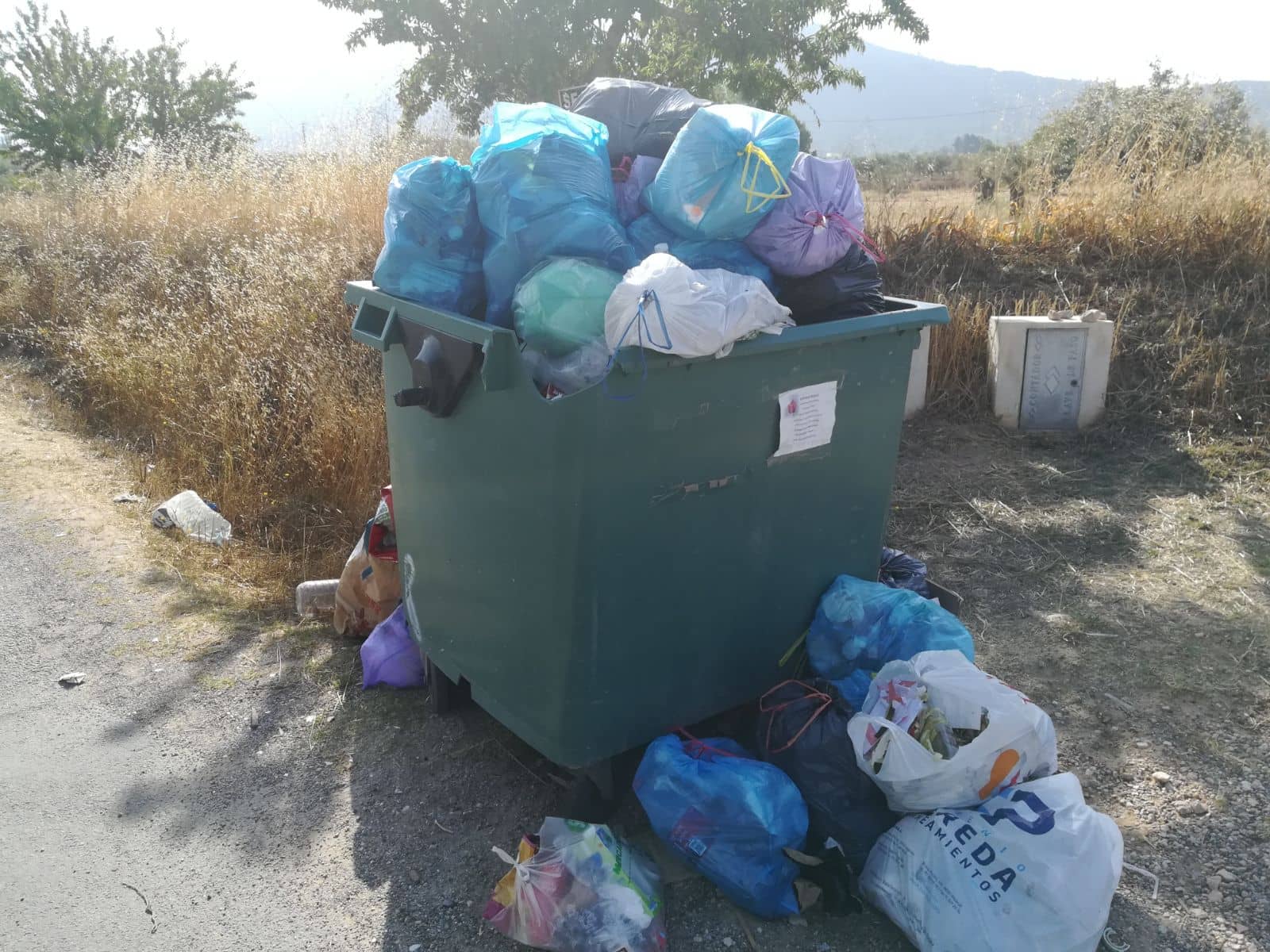 Denuncian la acumulación de basura en los contenedores de Villena