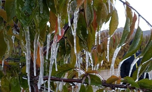 El termómetro se congela en Villena y  alcanza los -5 grados