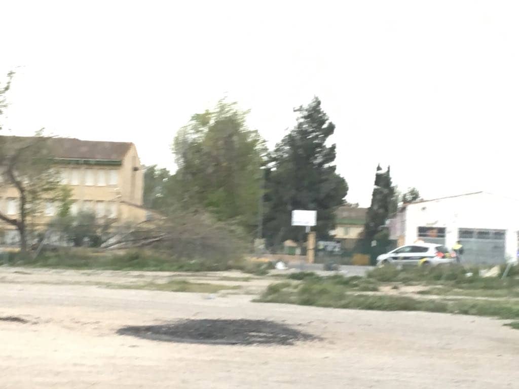 El fuerte viento derriba un árbol junto al colegio Ruperto Chapí