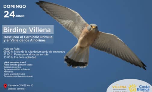 Jornada de turismo ornitológico en Villena