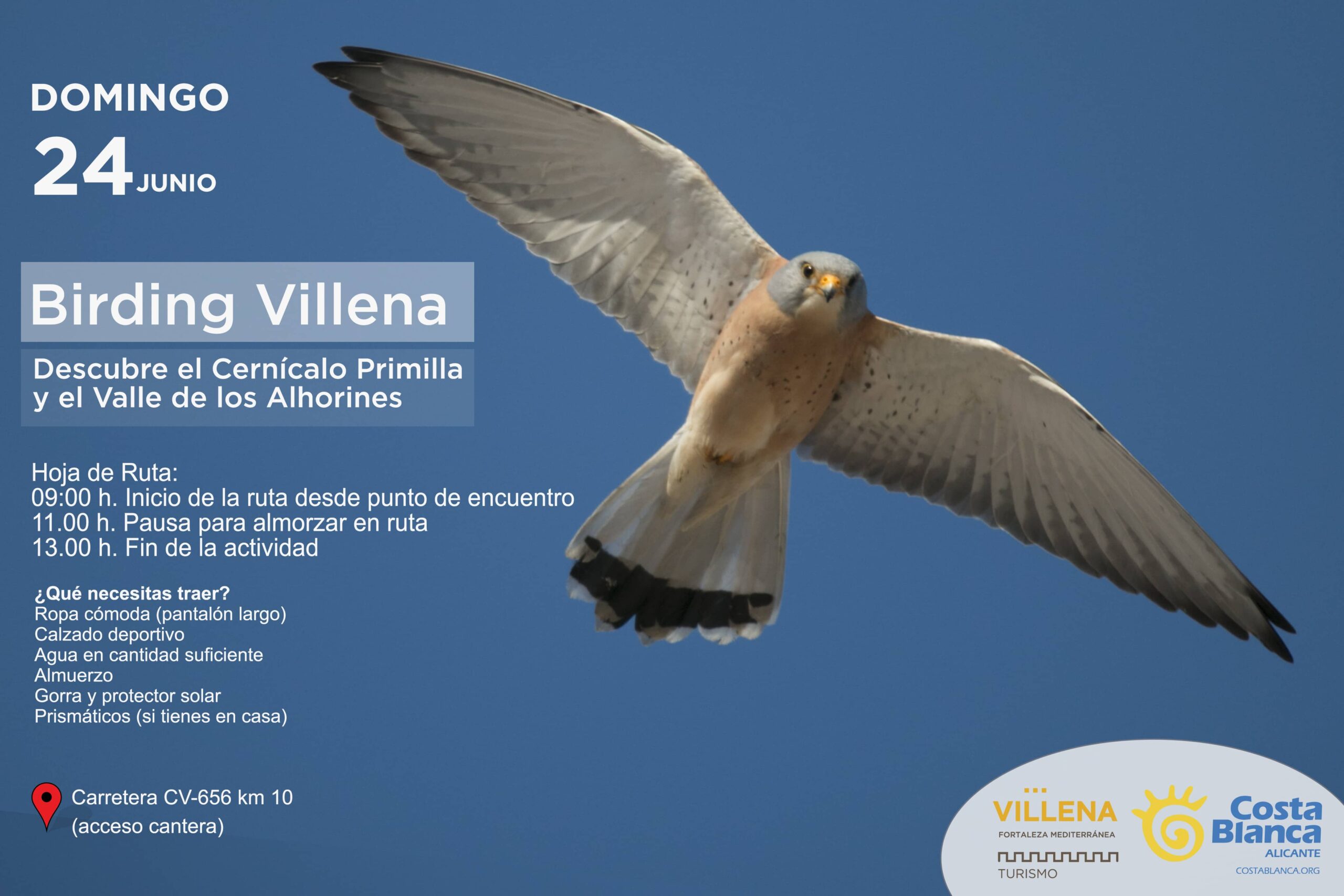 Jornada de turismo ornitológico en Villena