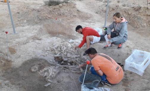 Comienzan las excavaciones del Museo en Casas del Campo