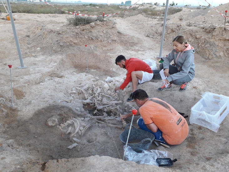 Comienzan las excavaciones del Museo en Casas del Campo