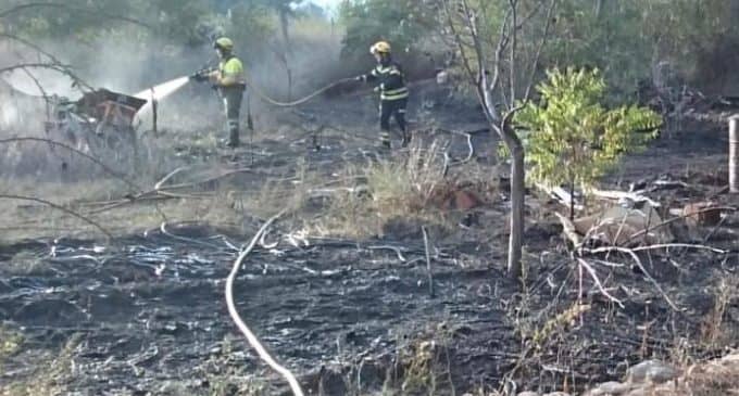 Arden 300 metros de masa forestal en Beneixama
