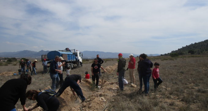 Medio Ambiente inicia un programa de reforestación vecinal en la Rambla Conejo, Rincón del Moro, vial ecológico, La Encina y Los Cabezos