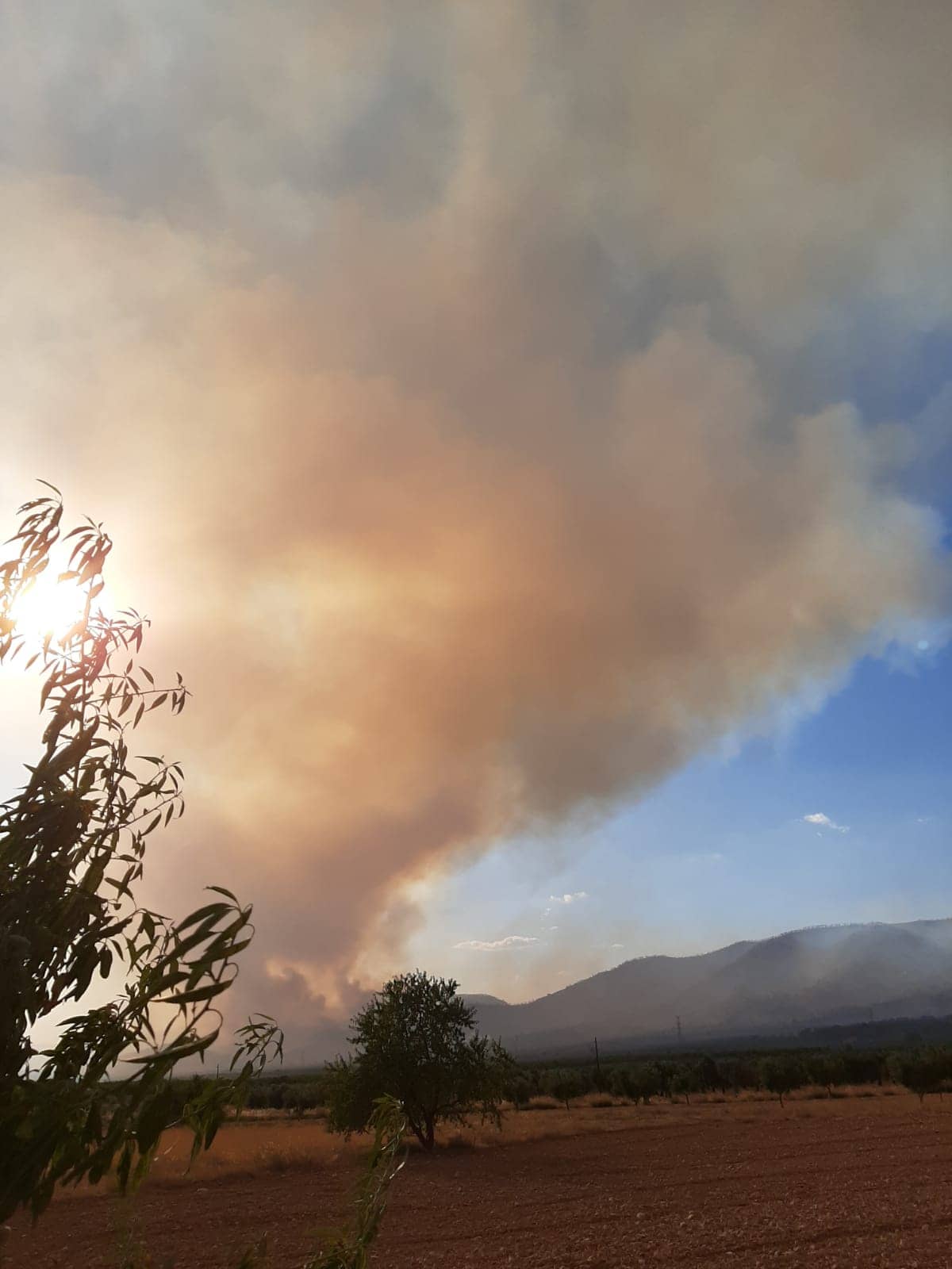 Unas 500 hectáreas de masa forestal podrían haber ardido en el incendio de Beneixama que sigue descontrolado