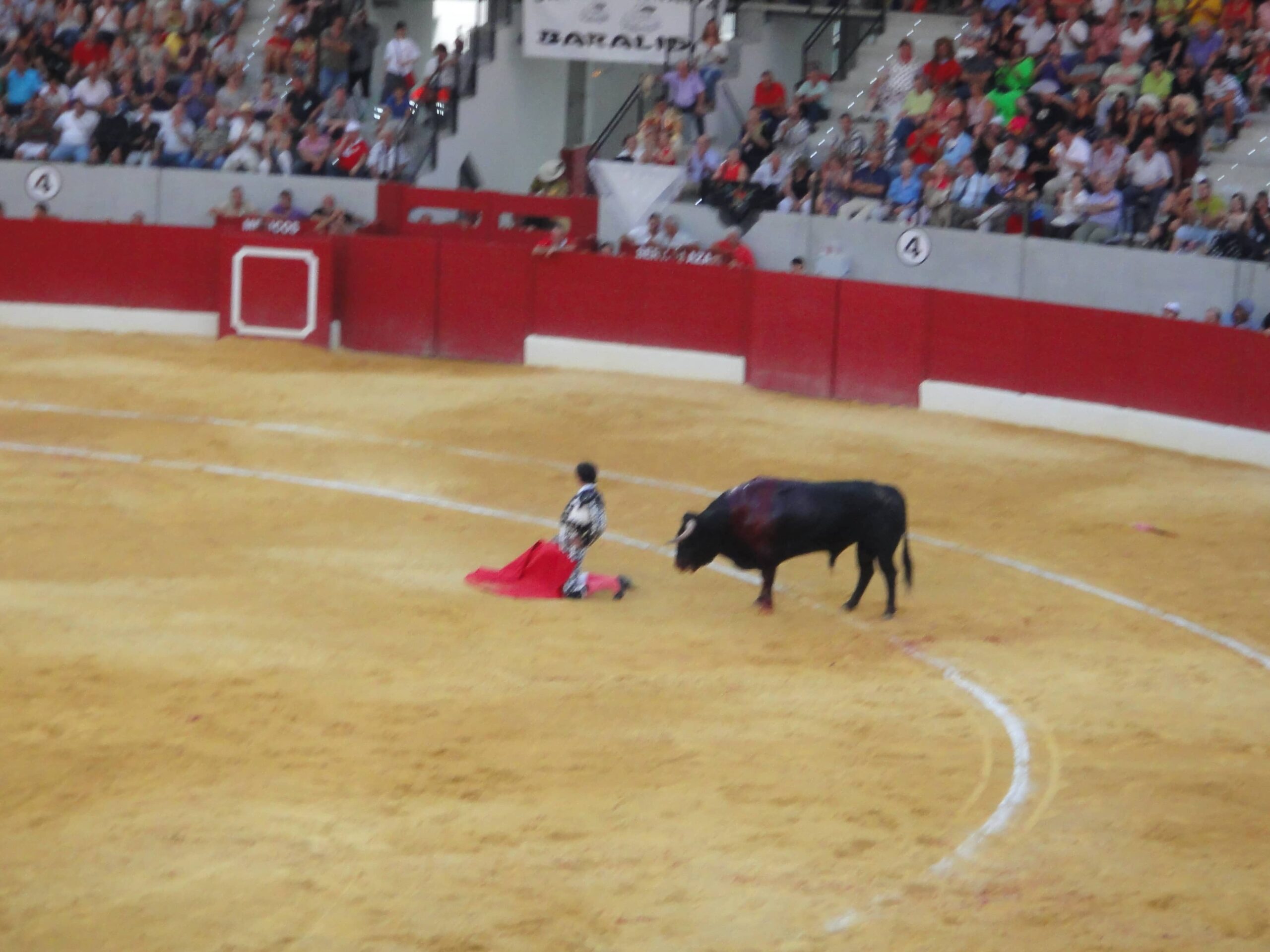 El presidente de la Fundación Toro de Lidia, satisfecho con la vuelta de los toros a Villena
