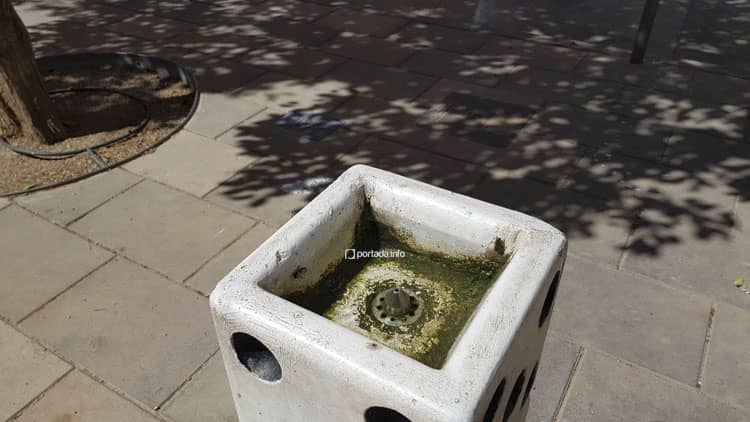 Denuncian el mal estado de las fuentes y surtidores de agua en Villena