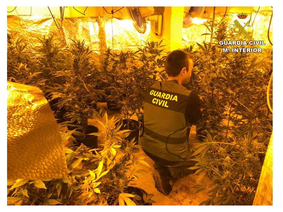 La Guardia Civil interviene 2,300 gramos de cogollos de marihuana listos para su venta