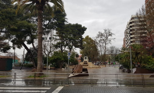 El Ayuntamiento inicia podas de urgencia en Villena