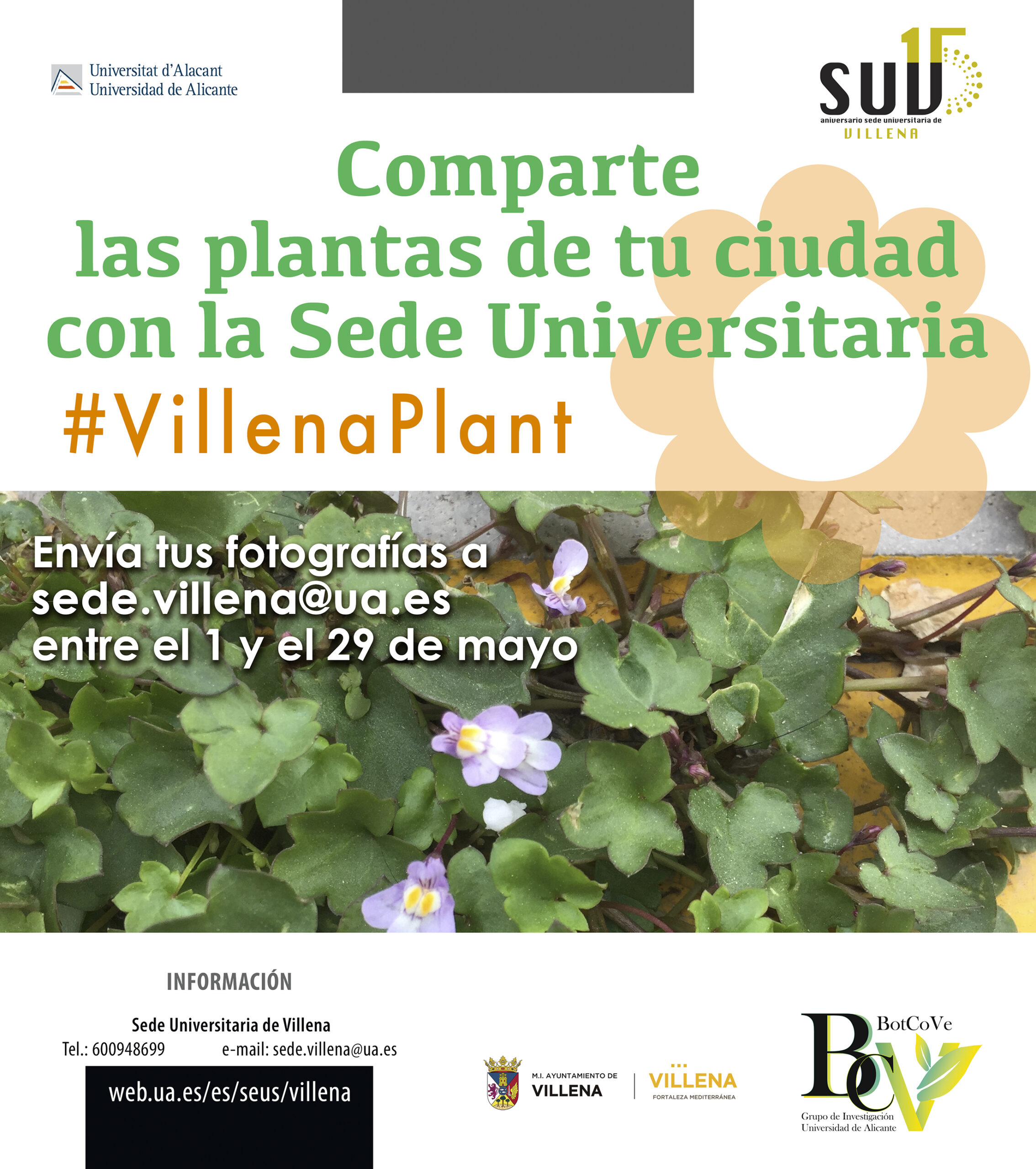 La Sede Universitaria de Villena aúna fotografía y botánica con el reto “Villenaplant”