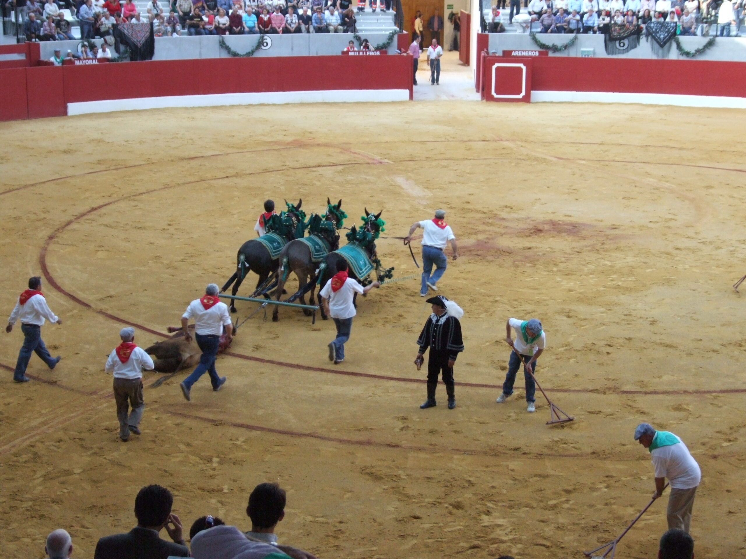 La Peña Taurina de Villena solicita celebrar una  corrida en la Plaza de Toros el 6 de septiembre
