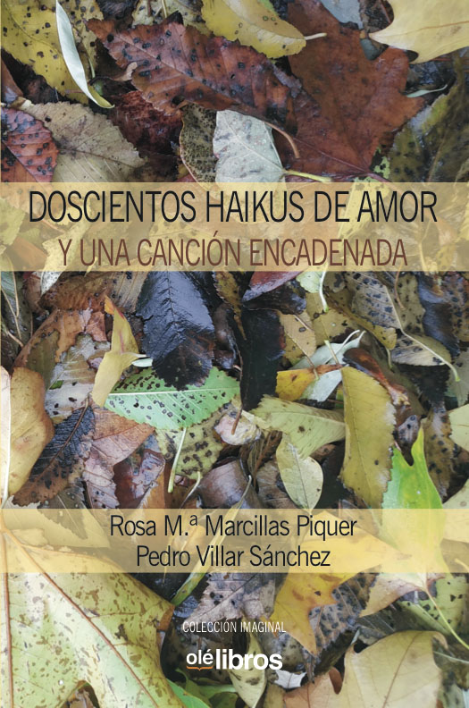 Villar publica su nuevo libro Doscientos haikus de amor y una canción encadenada