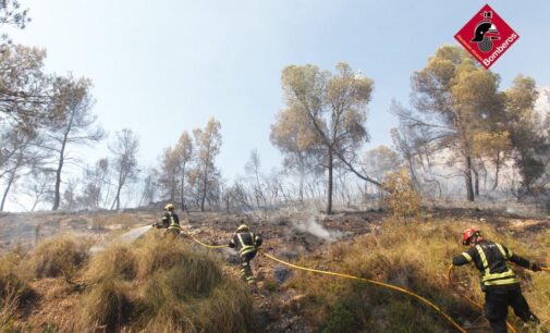 El fuego arrasa 140 hectáreas de masa forestal en Monóvar