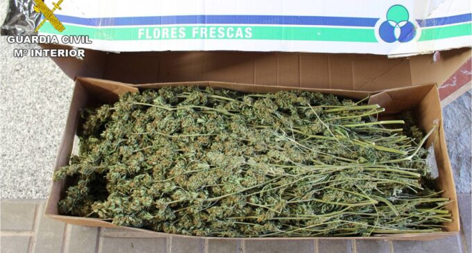 La Guardia Civil intercepta el transporte de cerca de 100 kilos de marihuana entre Alicante y Lleida