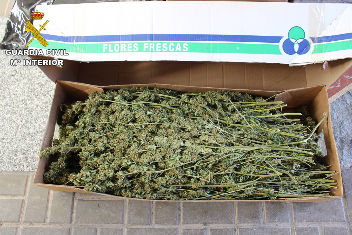 La Guardia Civil intercepta el transporte de cerca de 100 kilos de marihuana entre Alicante y Lleida