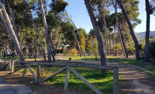 Villena pide una ayuda de 323.000 €  para renovar la red de riegos de parques y jardines