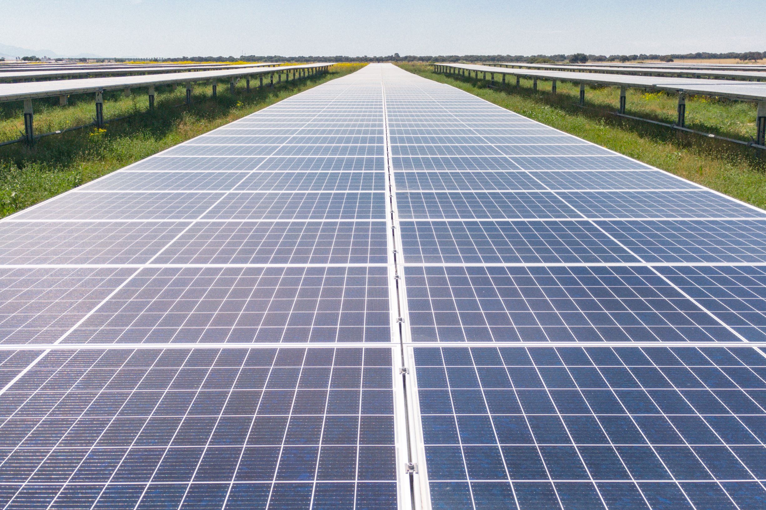 Solarcentury anuncia la construcción de una planta solar de 115 millones entre Villena, Biar y Cañada