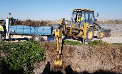 Medio Ambiente limpia las acequias de Paso Alto y San Juan