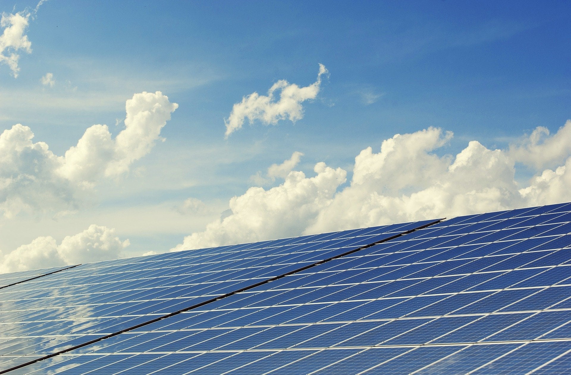 Los Verdes se mantienen firmes en suspender las licencias de las plantas fotovoltaicas