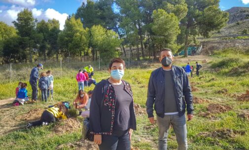 Más de 200 estudiantes del Joaquín María López replantan especies autóctonas en la Rambla del Conejo