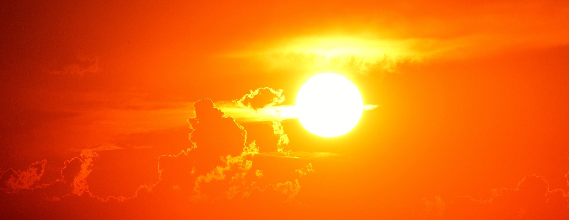 Sanidad activa la alerta por calor extremo en 100 municipios entre ellos Villena