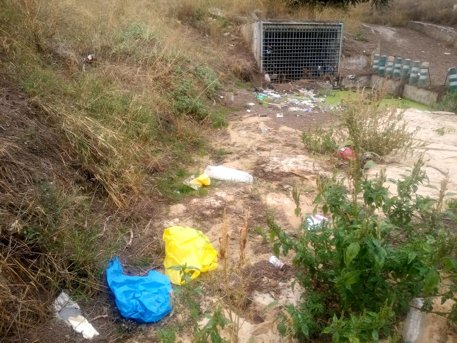 Medio Ambiente limpia la Rambla del Conejo de basura y plásticos