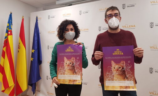 Nace en Villena la asociación Gatos de la Calle para el cuidado de la colonias felinas
