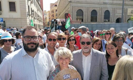 Villena participa en la manifestación a favor del agua para la provincia