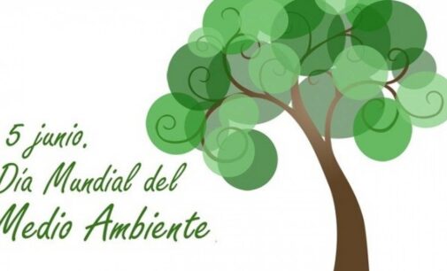 Celebrando el Día Mundial del Medio Ambiente: origen, importancia y significado