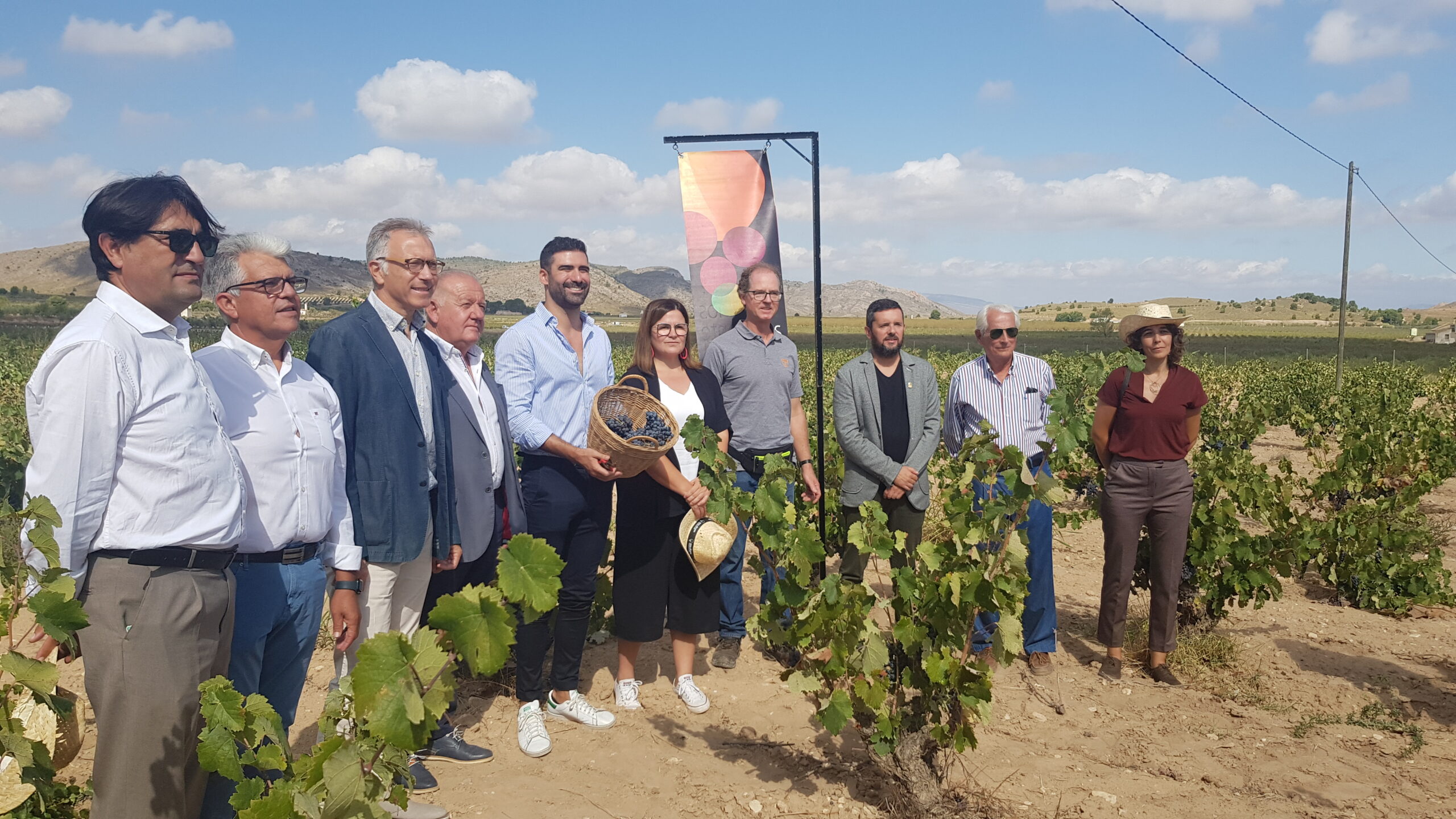 La DEO del vino de Alicante espera recoger 17 millones de kilos de uva esta cosecha