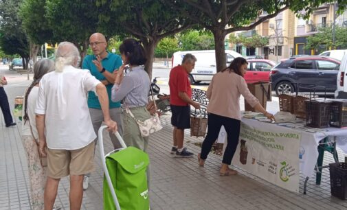 Villena iniciará la recogida selectiva de residuos orgánicos en el Barrio de La Morenica a finales de octubre