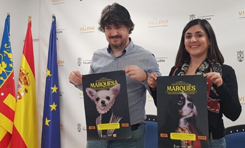 Villena destinará 18.000 € para esterilizar gratuitamente a gatos y perros domésticos