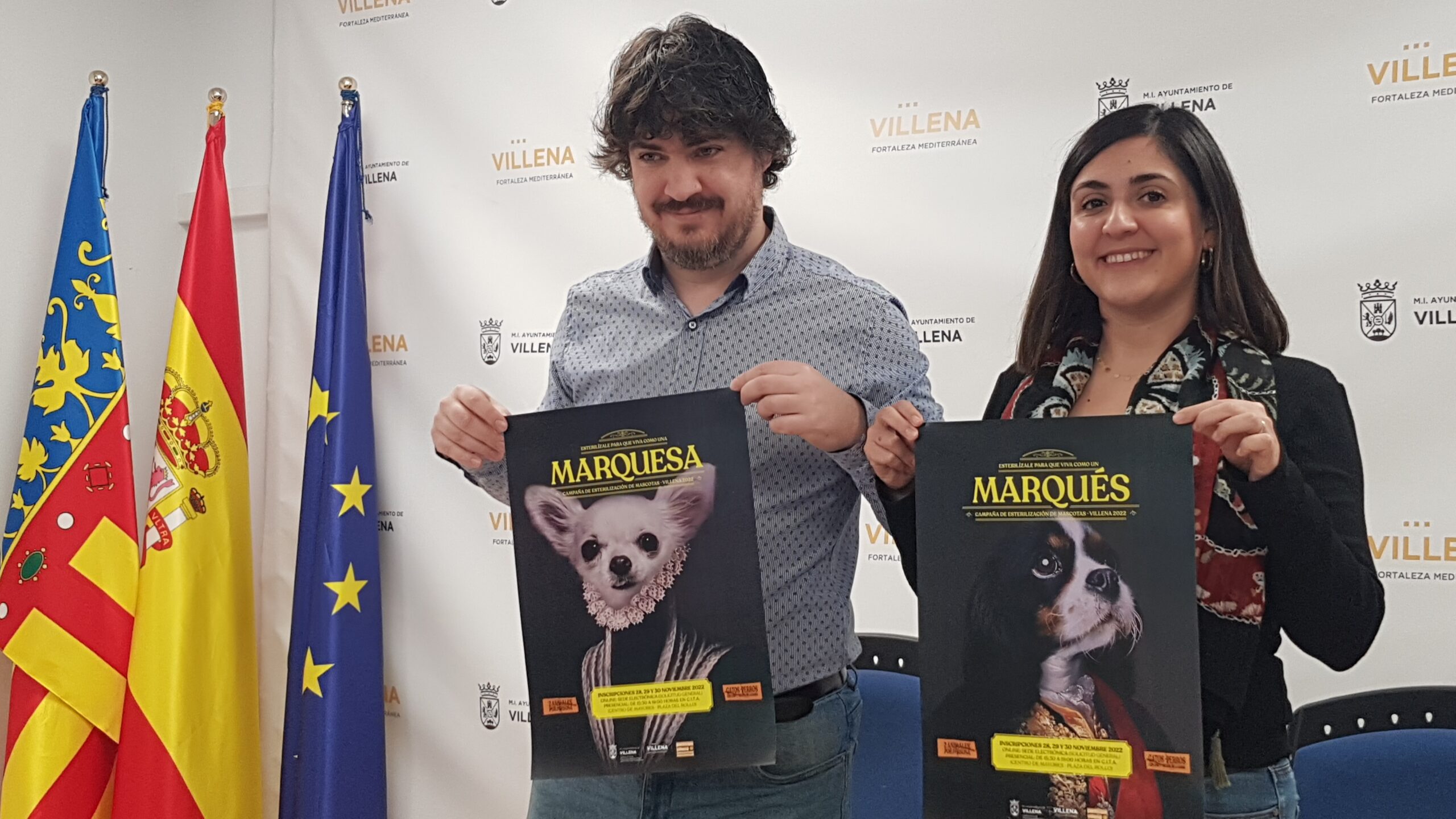 Villena destinará 18.000 € para esterilizar gratuitamente a gatos y perros domésticos
