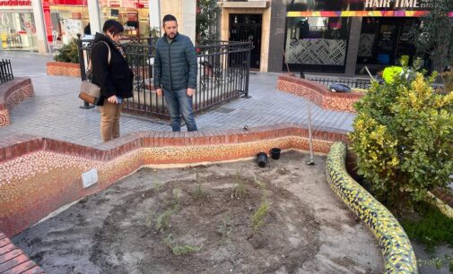 Villena celebra el Día del Árbol con la plantación de 16 romeros en la Plaza Beata Águeda Hernández Amorós