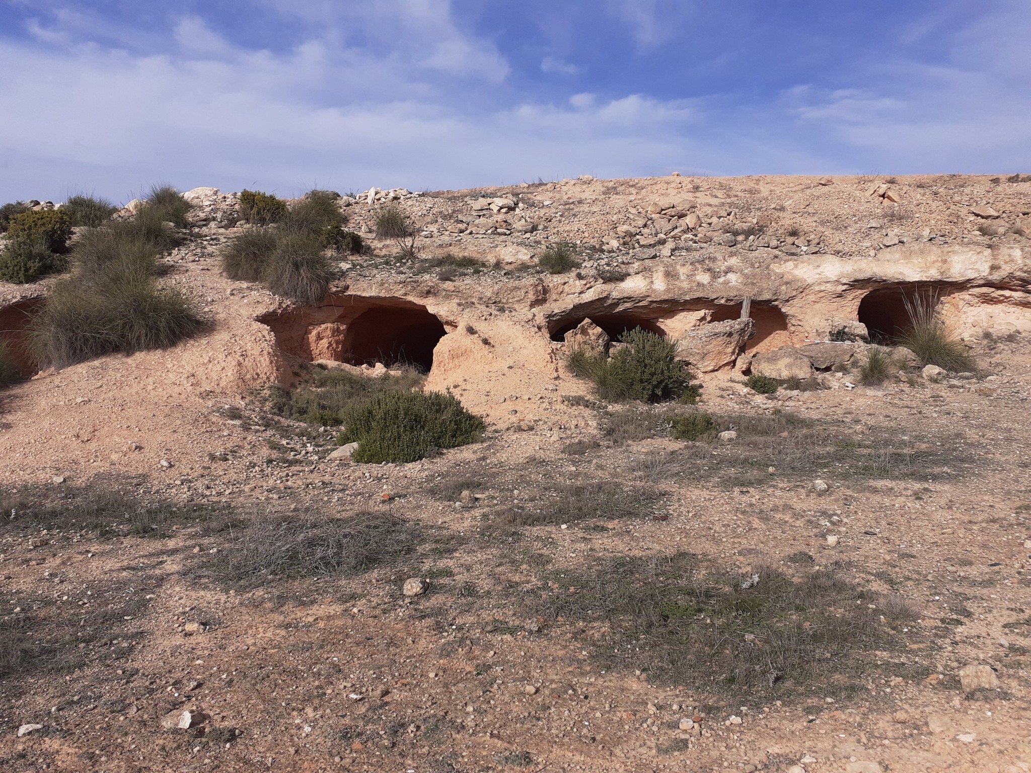 Visitan las cuevas champiñoneras de La Encina para  ver su conservación